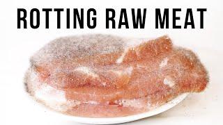 Raw Chicken Steak - Meat Timelapse