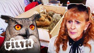 The House Filled With Owls...  Obsessive Compulsive Cleaners  Episode 14  Filth
