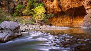 Hiking and Photographing the Virgin River Narrows in Zion National Park