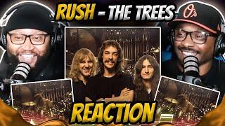 Rush - The Trees REACTION #rush #music #reaction