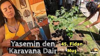 Yasemin İle Birlikte Muşta Fidan Diktik #428 #81il81fidan @gunesinpesinde