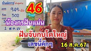 46 น้องกรฝันแม่น ฝันจับกบโตใหญ่ เลขนี้คักๆ 16ส.ค.67