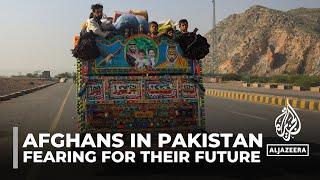 Afghan refugees in Pakistan face uncertainty as deportation plan set to begin