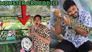 Dilu kissed A Crocodile 