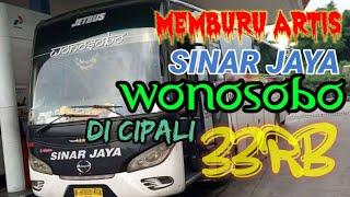 MEMBURU ARTIS SINAR JAYA 33RB WONOSOBO DI CIPALI