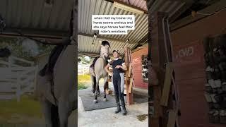 his face at the end  #horse #horses #tiktokviral