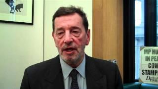 David Blunkett citizenship should be a full curriculum subject