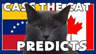 COPA AMERICA QUARTER FINAL - VENEZUELA vs CANADA PREDICTION - CASS THE CAT