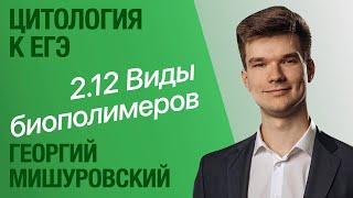 2.12. Виды биологических полимеров  Цитология к ЕГЭ  Георгий Мишуровский