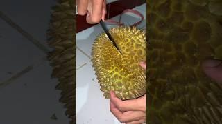 Unboxing durian montong #youtubeshorts