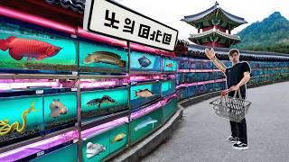 KOREA FISH STORE TOUR