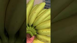 #Shorts  Cluster of Mini Banana Fruits