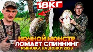 НОЧНОЙ МОНСТР ЛОМАЕТ СПИННИНГ  Рыбалка на донки 2023