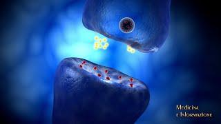 SLA sclerosi laterale amiotrofica nuovi biomarcatori genetici e non per orientare la terapia