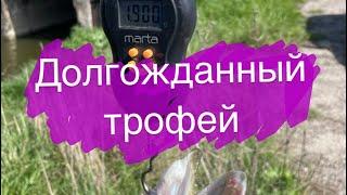 Рыбалка на Хищника. Добыл трофей.Джиг рулит. #рыбалканаспиннинг