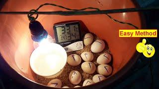 BEST HOMEMADE INCUBATOR FOR CHICKEN EGGS  HATCHING EGGS IN PLASTIC CONTAINER  DIY-YOU CAN DO THIS