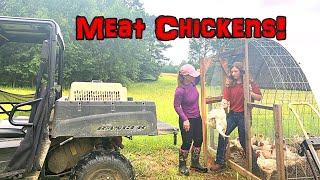 Putting Our Pasture Raised Meat Chickens In The Freezer #growingfood #chickens #meat