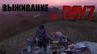 ДЕЙЗИ - АТМОСФЕРНОЕ ВЫЖИВАНИЕ С ДРУЗЬЯМИ  БИТВА ЗА КОРОВУ  DAYZ