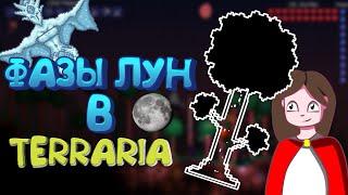 ФАЗЫ ЛУН В terraria  Советы для прохождения