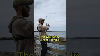 SECRET to GREAT FISHING #facts #truth #fishing