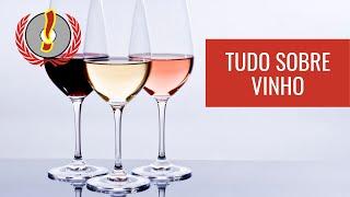 Tudo sobre vinho #1