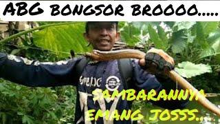 mancing belut abg bongsor