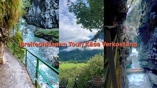 Camping Rubi Camp OberstdorfBreitachklamm Tour Käse Verkostung