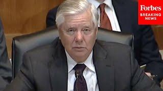 Lindsey Graham Ive Never Seen This Many Problems In The World At The Same Time