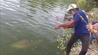 Beautiful river scape catching big rohu fishes with single hookawesome fishing video