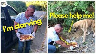 Priceless Moments When Homeless Dogs Finally Got Fed - Faith In Humanity Restored