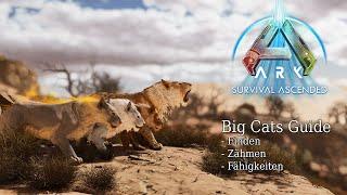 Big Cats Guide Deutsch Atlas Creatures