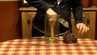 Primitive Country Decorating Ideas -Country Canning Jar Idea