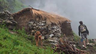 Peaceful & Most Relaxation Himalayan Village Life  into The Rainy Day Nepali Shepherd Life.