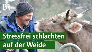 Tierschutz Schlachten auf der Weide  Unser Land  BR Fernsehen