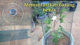 Membuat AVIARY MINI dari barang bekas