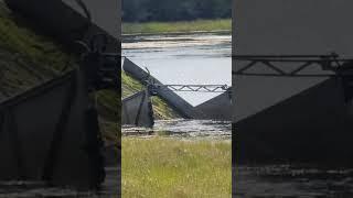 This Floating Monster Machine Eats 24000 lbs of Water Hyacinths an Hour #waterhyacinth #invasive