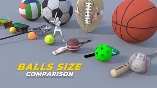 BALLS SIZE COMPARISON  SPORTS BALL