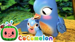 Five Little Birds Song  CoComelon Furry Friends  Animals for Kids