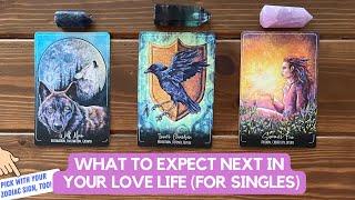 What To Expect Next in Your Love Life For Singles  Timeless Reading
