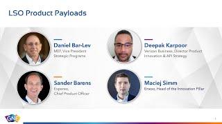 MEF GNE  2 October  LSO Global Summit  LSO Product Payloads