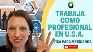 Visa para Mexicanos profesionistas - Resumen sobre la visa TN