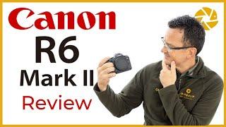 Canon R6 Mark ii For Wildlife Photography