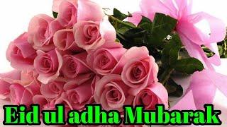 Eid ul adha Mubarak Wishes 2024  Eid Mubarak Wishes & Quotes  Eid ul adha Mubarak Whatsapp status