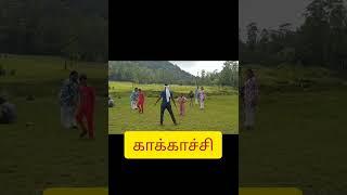 மாஞ்சோலை எஸ்டேட்