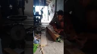 proses paking tanaman aman .rapi tidak mudah rusak