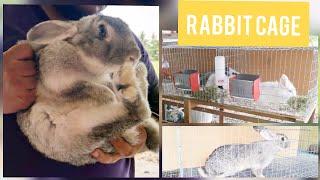 Diy rabbit cage  Giant bunny  sangkar arnab  kandang kelinci