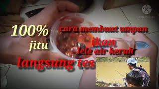 umpan ikan lele air keruh