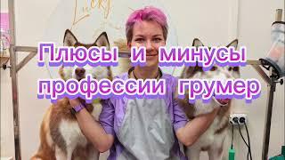 Плюсы и минусы профессии грумер