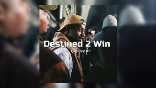 FREE Lil Tjay Loop Kit Destined 2 Win  Melodic Sample Pack Lil Tjay Stunna Gambino NY Pain