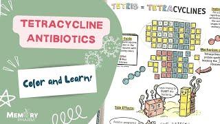 Tetracyclines Made Easy Mnemonics Mechanism of Action Side Effects Counseling